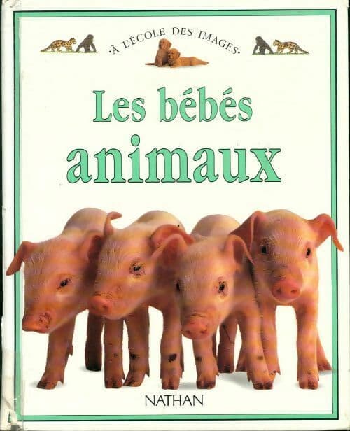 Bébés animaux - Dorling Kindersley