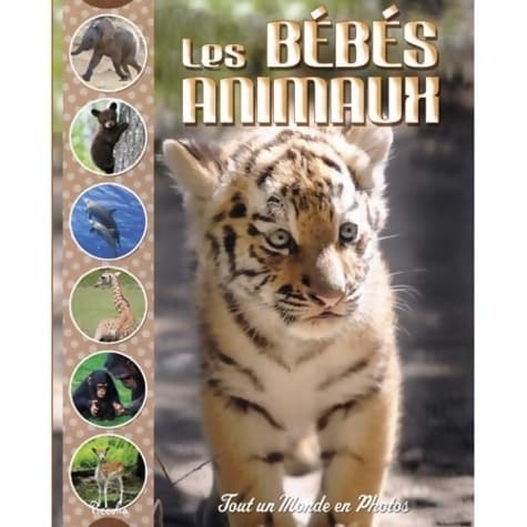 Les bébés animaux - Collectif