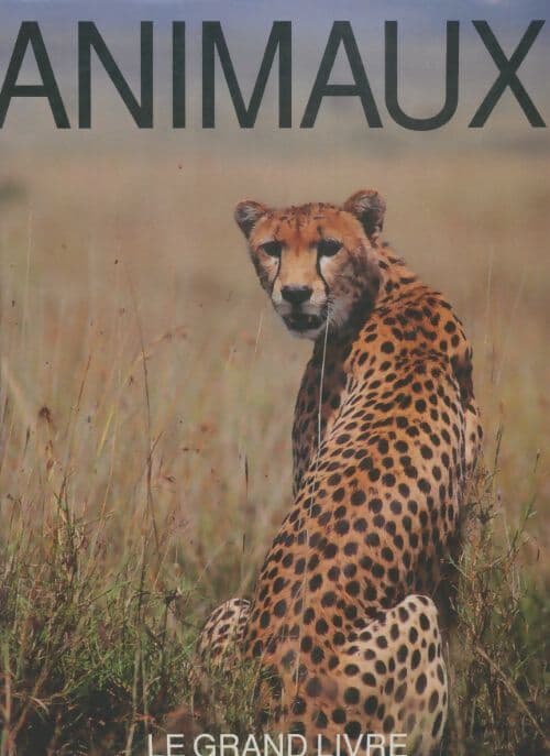Animaux - Jean-Christophe Cauchy
