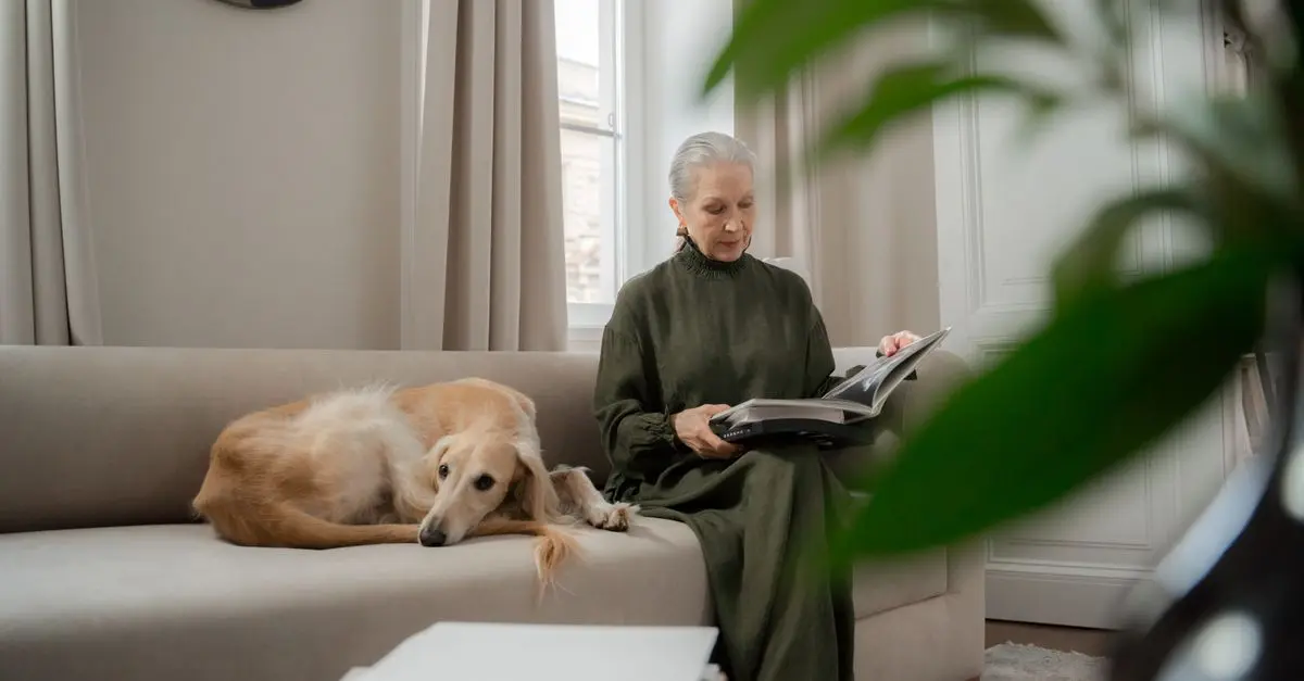 Réseaux sociaux et animaux de compagnie : l'engouement des seniors