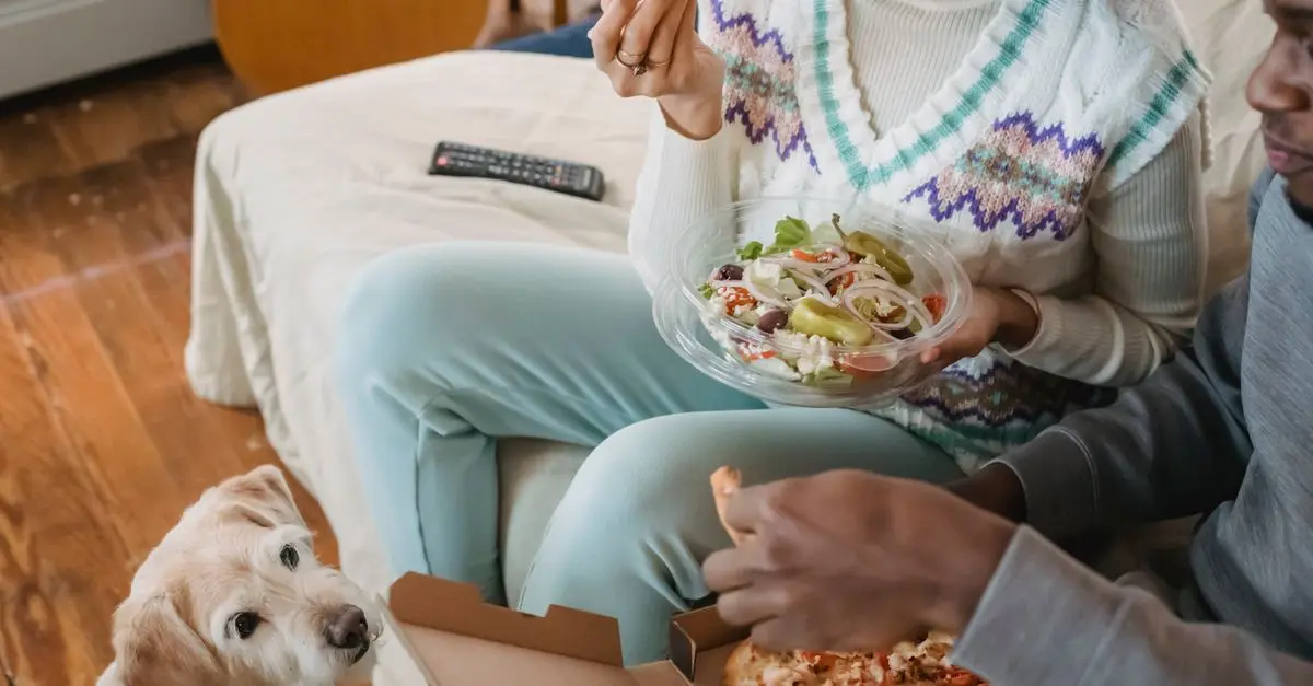 Quelle alimentation pour un chien âgé ?
