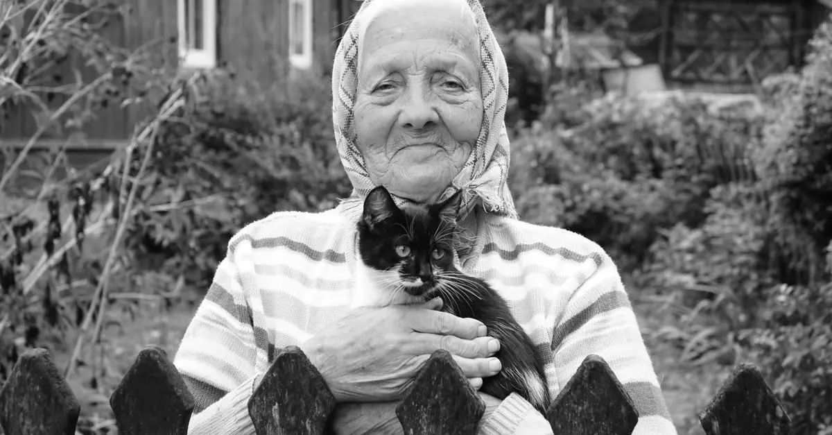 Comparatif : Assurance santé pour animaux seniors