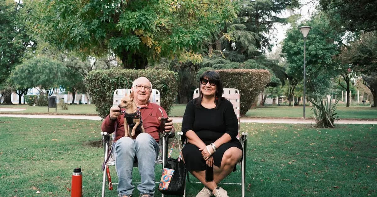 Meilleures pratiques de toilettage pour animaux seniors