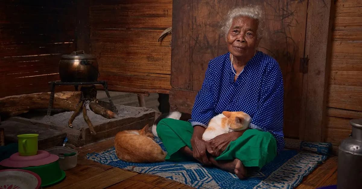 Comment faire cohabiter plusieurs animaux pour un senior