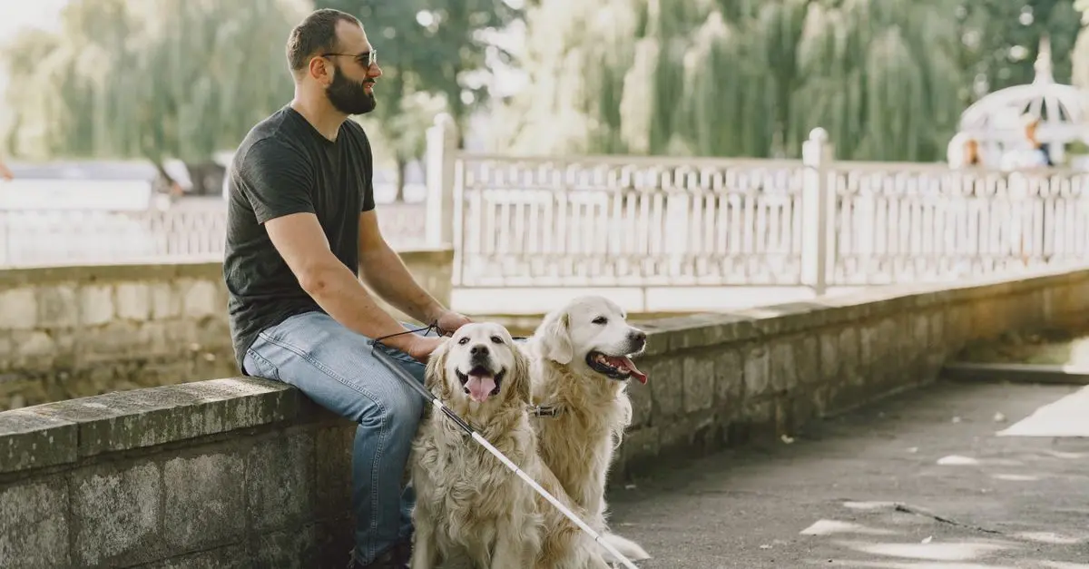 Comment un chien peut améliorer votre santé à la retraite