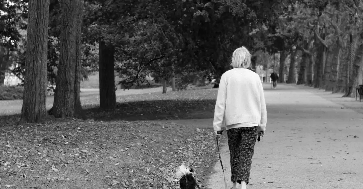 Une journée dans la vie d'un chien de senior