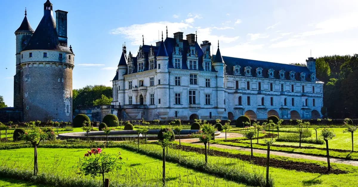 Conseils pour choisir le bon vétérinaire pour votre animal âgé