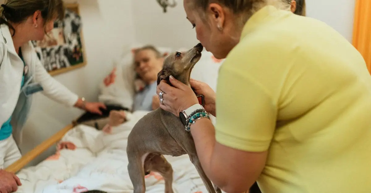 Intégration des animaux dans les foyers pour seniors