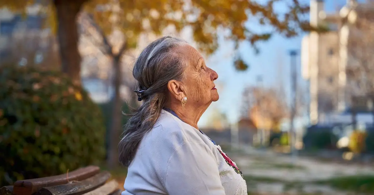 Suggestions de promenades locales pour seniors et chiens
