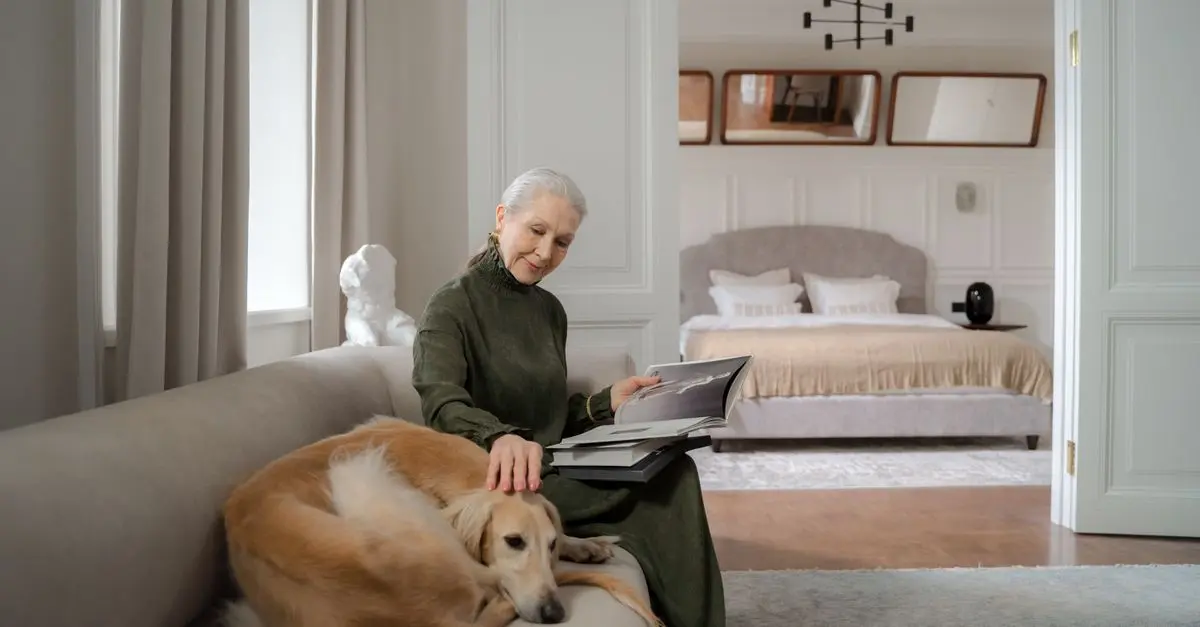 10 conseils pour bien s'occuper d'un animal senior