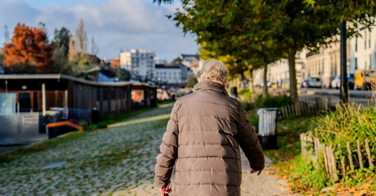 Les meilleures pratiques de soins pour animaux seniors