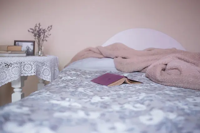 Comment gérer les soins d'un animal senior au quotidien