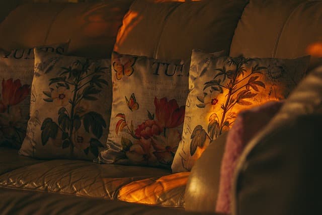 Comment choisir les meilleurs jouets pour les animaux seniors