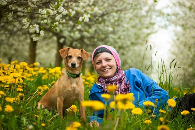 Les bienfaits de l'exercice pour les animaux seniors et leurs propriétaires