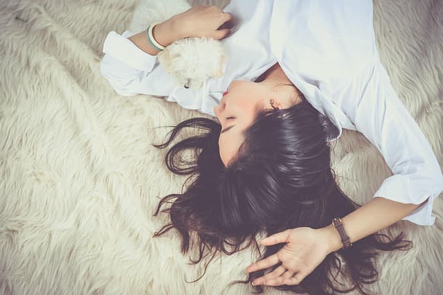 Les tendances des soins pour animaux seniors en 2026